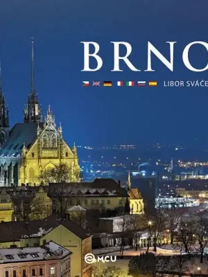 Levný Brno - střední / vícejazyčné