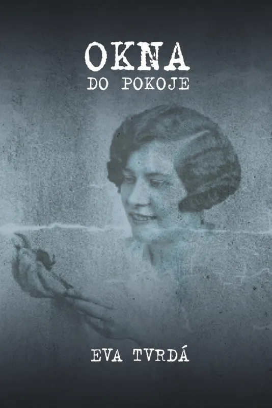 Okna do pokoje Omezená Nabídka