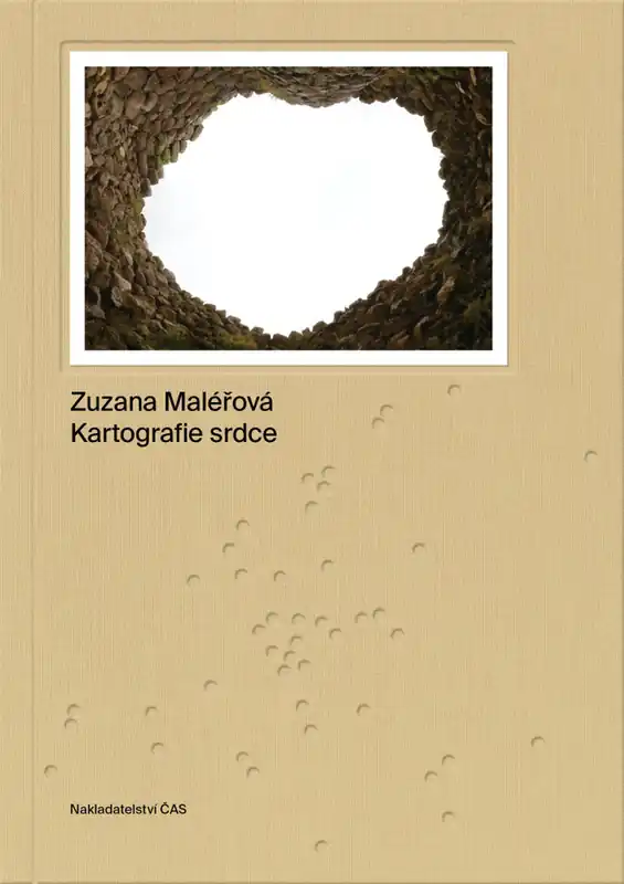 Ověřený Kartografie srdce