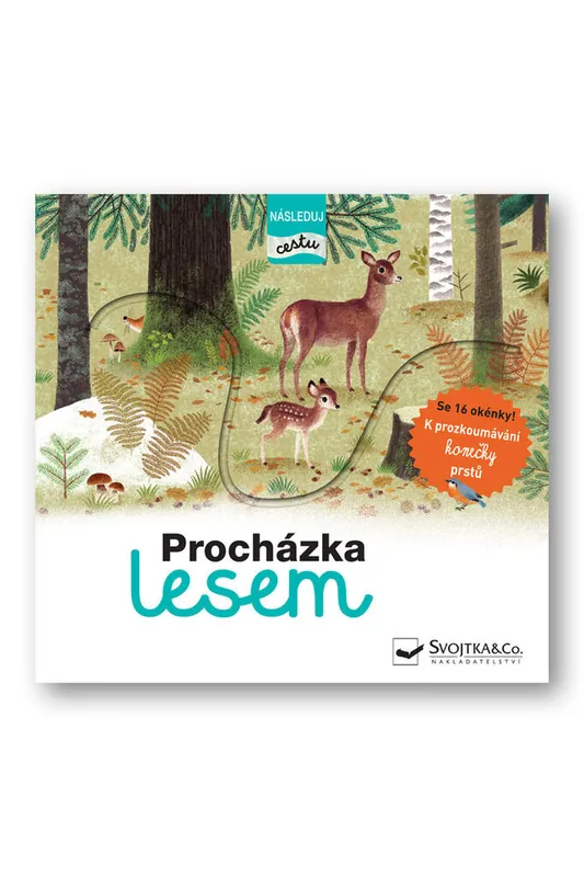Top Prodej Procházka lesem