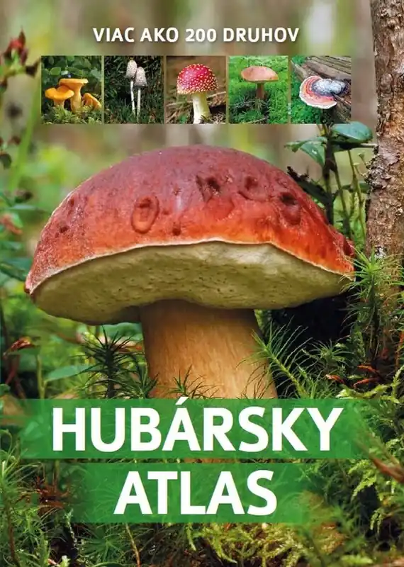 Atlas húb Nízká Cena