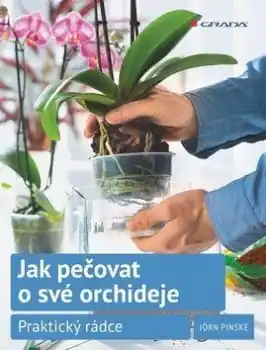 Doprava Zdarma Jak pečovat o své orchideje