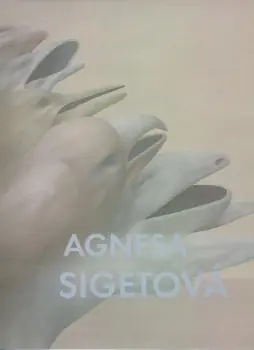 Sleva Agnesa Sigetová