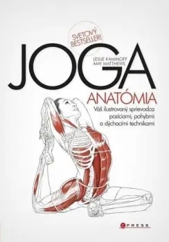 Tovární Cena Joga anatómia