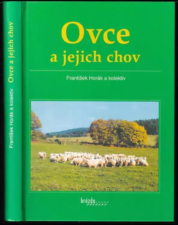 Top Prodej Ovce a jejich chov