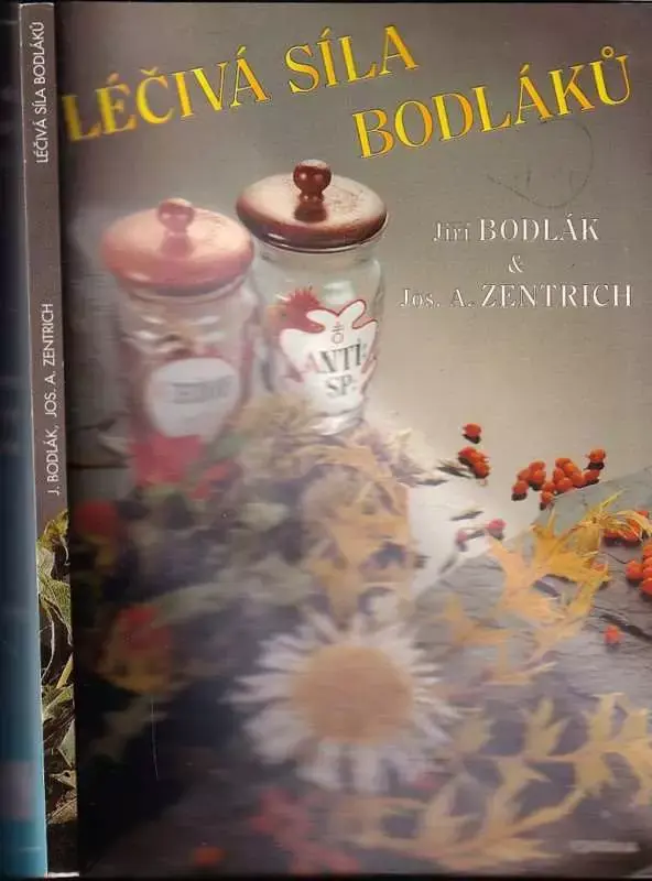 Výprodej Léčivá síla bodláků