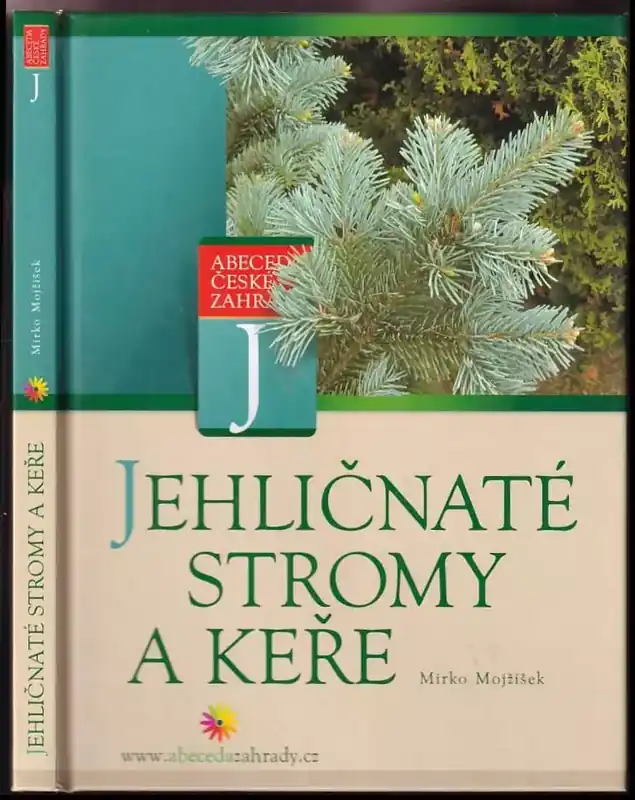 Jehličnaté stromy a keře Novinka